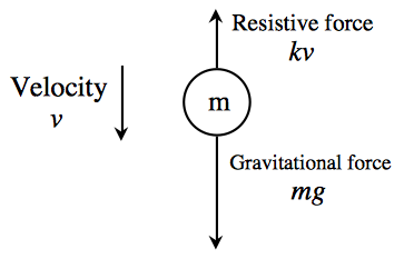 Solved An object of mass m is dropped from rest. If v(t) is | Chegg.com